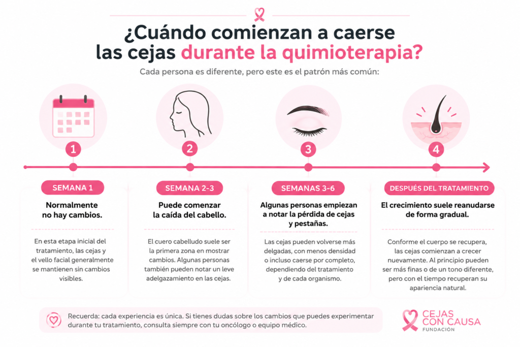 ¿Por qué se caen las cejas durante la quimioterapia?